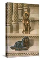 Two Dogs on a Staircase-null-Stretched Canvas