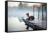 Two Dogs on the Lake in the Morning in the Fog. Animals Breed Nova Scotia Duck Tolling Retriever, T-Dezy-Framed Stretched Canvas