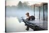 Two Dogs on the Lake in the Morning in the Fog. Animals Breed Nova Scotia Duck Tolling Retriever, T-Dezy-Stretched Canvas