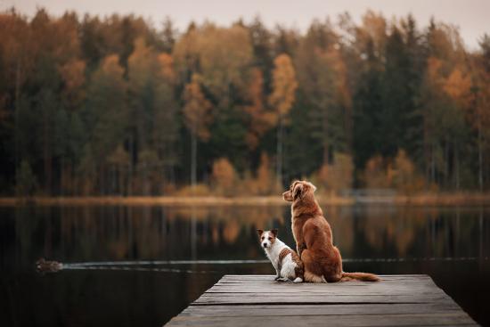 Photographic Print, , large