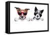 Two Dogs Very Close Together-Javier Brosch-Framed Stretched Canvas