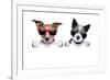 Two Dogs Very Close Together-Javier Brosch-Framed Photographic Print