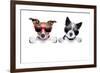 Two Dogs Very Close Together-Javier Brosch-Framed Photographic Print