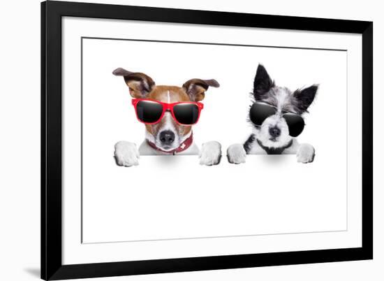 Two Dogs Very Close Together-Javier Brosch-Framed Photographic Print