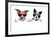 Two Dogs Very Close Together-Javier Brosch-Framed Photographic Print