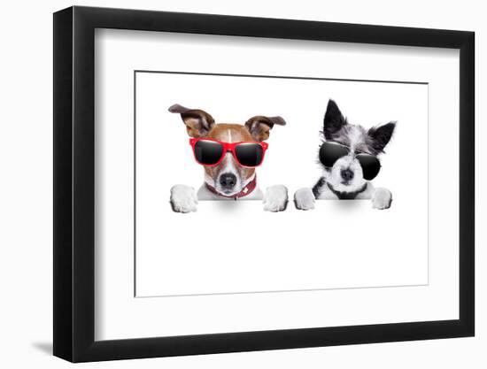 Two Dogs Very Close Together-Javier Brosch-Framed Photographic Print