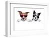 Two Dogs Very Close Together-Javier Brosch-Framed Photographic Print