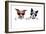 Two Dogs Very Close Together-Javier Brosch-Framed Photographic Print