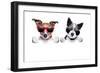 Two Dogs Very Close Together-Javier Brosch-Framed Photographic Print