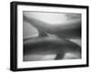 Two Dolphins-Henry Horenstein-Framed Premium Photographic Print