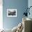 Two Dolphins-Henry Horenstein-Framed Premium Photographic Print displayed on a wall