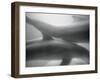 Two Dolphins-Henry Horenstein-Framed Photographic Print