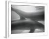 Two Dolphins-Henry Horenstein-Framed Photographic Print