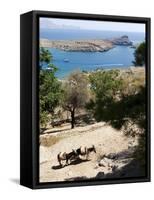 Two Donkeys in the St. Paul Bay, Lindos, Rhodes, Dodecanese, Greek Islands, Greece, Europe-Oliviero Olivieri-Framed Stretched Canvas