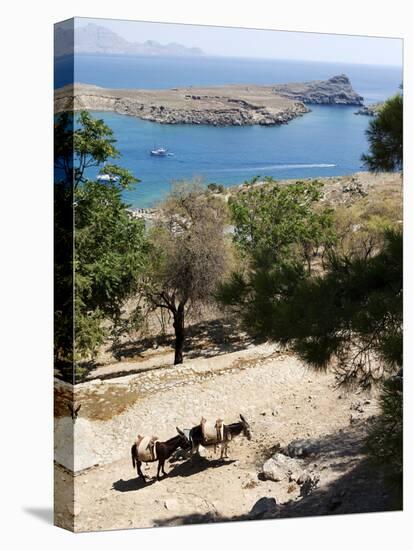 Two Donkeys in the St. Paul Bay, Lindos, Rhodes, Dodecanese, Greek Islands, Greece, Europe-Oliviero Olivieri-Stretched Canvas