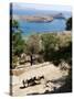 Two Donkeys in the St. Paul Bay, Lindos, Rhodes, Dodecanese, Greek Islands, Greece, Europe-Oliviero Olivieri-Stretched Canvas