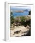 Two Donkeys in the St. Paul Bay, Lindos, Rhodes, Dodecanese, Greek Islands, Greece, Europe-Oliviero Olivieri-Framed Photographic Print