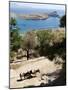 Two Donkeys in the St. Paul Bay, Lindos, Rhodes, Dodecanese, Greek Islands, Greece, Europe-Oliviero Olivieri-Mounted Photographic Print