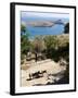 Two Donkeys in the St. Paul Bay, Lindos, Rhodes, Dodecanese, Greek Islands, Greece, Europe-Oliviero Olivieri-Framed Photographic Print