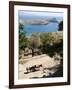 Two Donkeys in the St. Paul Bay, Lindos, Rhodes, Dodecanese, Greek Islands, Greece, Europe-Oliviero Olivieri-Framed Photographic Print