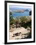 Two Donkeys in the St. Paul Bay, Lindos, Rhodes, Dodecanese, Greek Islands, Greece, Europe-Oliviero Olivieri-Framed Photographic Print