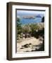 Two Donkeys in the St. Paul Bay, Lindos, Rhodes, Dodecanese, Greek Islands, Greece, Europe-Oliviero Olivieri-Framed Premium Photographic Print