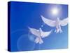 Two Doves Side by Side with Wings Outstretched in Flight with Brilliant Light And Blue Sky-null-Stretched Canvas