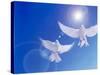 Two Doves Side by Side with Wings Outstretched in Flight with Brilliant Light And Blue Sky-null-Stretched Canvas