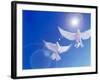 Two Doves Side by Side with Wings Outstretched in Flight with Brilliant Light And Blue Sky-null-Framed Photographic Print