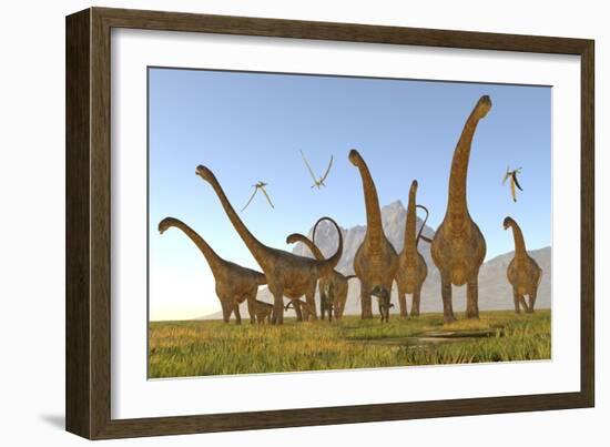 Two Dracorex Dinosaurs Walk in Front of a Malawisaurus Herd-Stocktrek Images-Framed Art Print