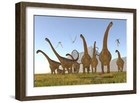 Two Dracorex Dinosaurs Walk in Front of a Malawisaurus Herd-Stocktrek Images-Framed Art Print