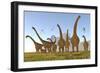 Two Dracorex Dinosaurs Walk in Front of a Malawisaurus Herd-Stocktrek Images-Framed Art Print