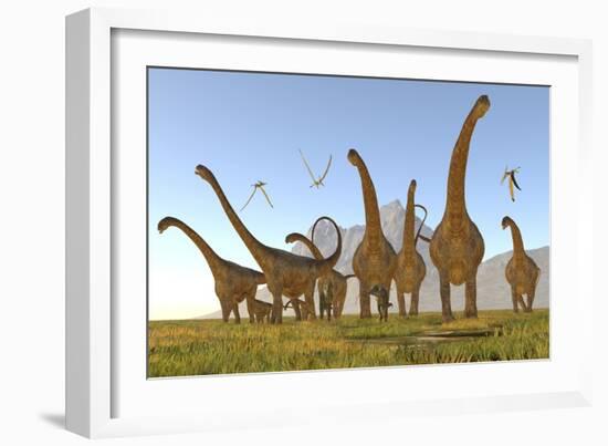 Two Dracorex Dinosaurs Walk in Front of a Malawisaurus Herd-Stocktrek Images-Framed Art Print