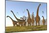 Two Dracorex Dinosaurs Walk in Front of a Malawisaurus Herd-Stocktrek Images-Mounted Art Print