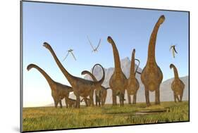 Two Dracorex Dinosaurs Walk in Front of a Malawisaurus Herd-Stocktrek Images-Mounted Art Print