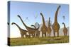 Two Dracorex Dinosaurs Walk in Front of a Malawisaurus Herd-Stocktrek Images-Stretched Canvas