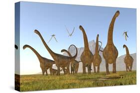 Two Dracorex Dinosaurs Walk in Front of a Malawisaurus Herd-Stocktrek Images-Stretched Canvas