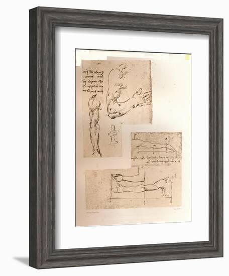 Two drawings illustrating the theory of the proportions of the human figure, c1472-c1519 (1883)-Leonardo Da Vinci-Framed Giclee Print