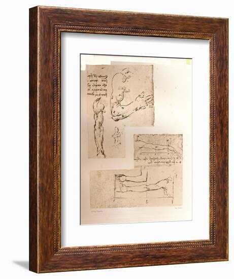 Two drawings illustrating the theory of the proportions of the human figure, c1472-c1519 (1883)-Leonardo Da Vinci-Framed Giclee Print