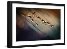 Two Droplets-Ursula Abresch-Framed Photographic Print