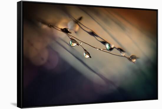 Two Droplets-Ursula Abresch-Framed Stretched Canvas