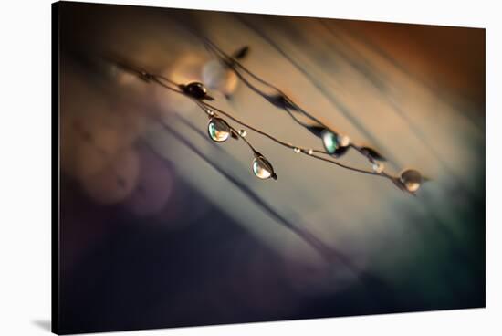 Two Droplets-Ursula Abresch-Stretched Canvas