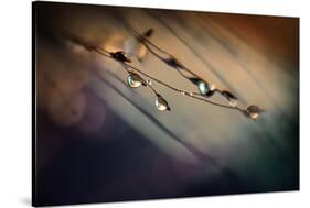 Two Droplets-Ursula Abresch-Stretched Canvas
