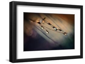 Two Droplets-Ursula Abresch-Framed Photographic Print