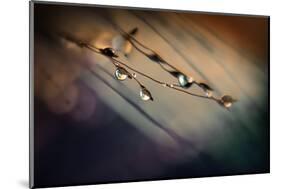 Two Droplets-Ursula Abresch-Mounted Photographic Print