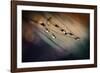 Two Droplets-Ursula Abresch-Framed Photographic Print