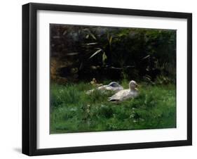 Two Ducks and a Few Chickens in the Grass Near the Waterfront-Willem Maris-Framed Art Print