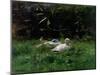 Two Ducks and a Few Chickens in the Grass Near the Waterfront-Willem Maris-Mounted Art Print