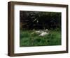 Two Ducks and a Few Chickens in the Grass Near the Waterfront-Willem Maris-Framed Art Print