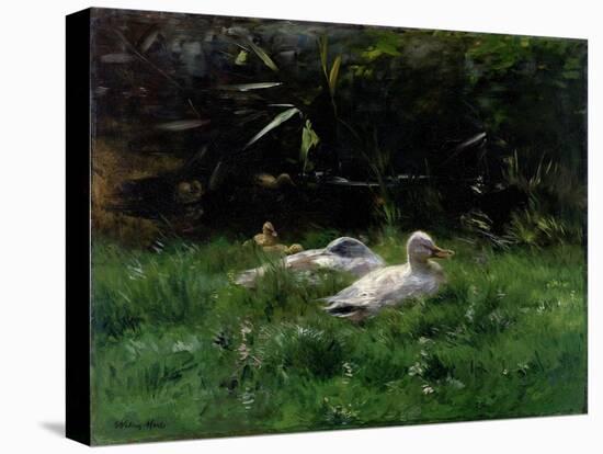 Two Ducks and a Few Chickens in the Grass Near the Waterfront-Willem Maris-Stretched Canvas
